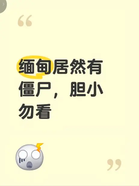 《缅甸僵尸出土事件》高清无删减视频在线观看-揭秘缅北僵尸出土真相-现场全程录像免费播放-缅甸僵尸出土事件最新完整版