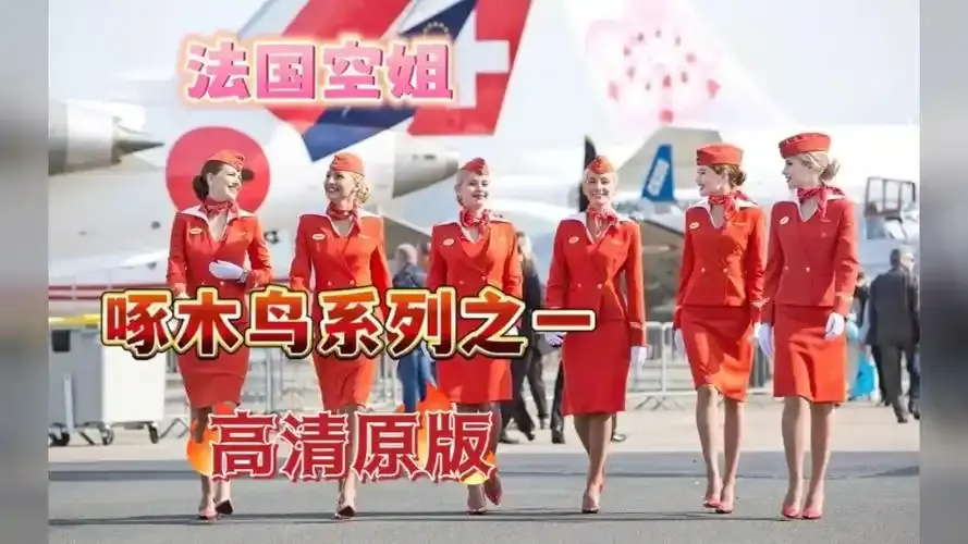 《法国空姐4》资源下载-法国空姐4免费观看法国完整版高清-超高清在线观看-法国空姐2019满天星法版